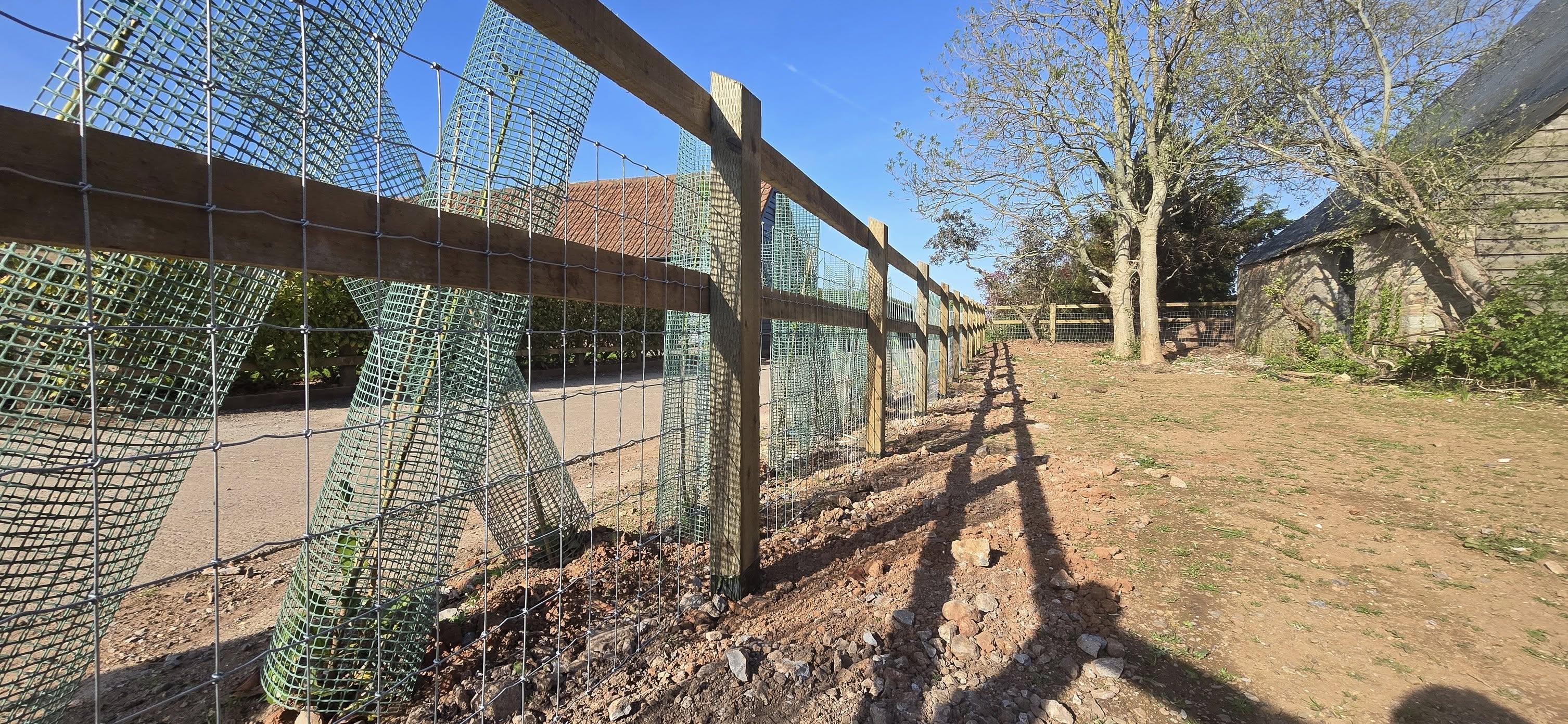 Tree Protection Fencing